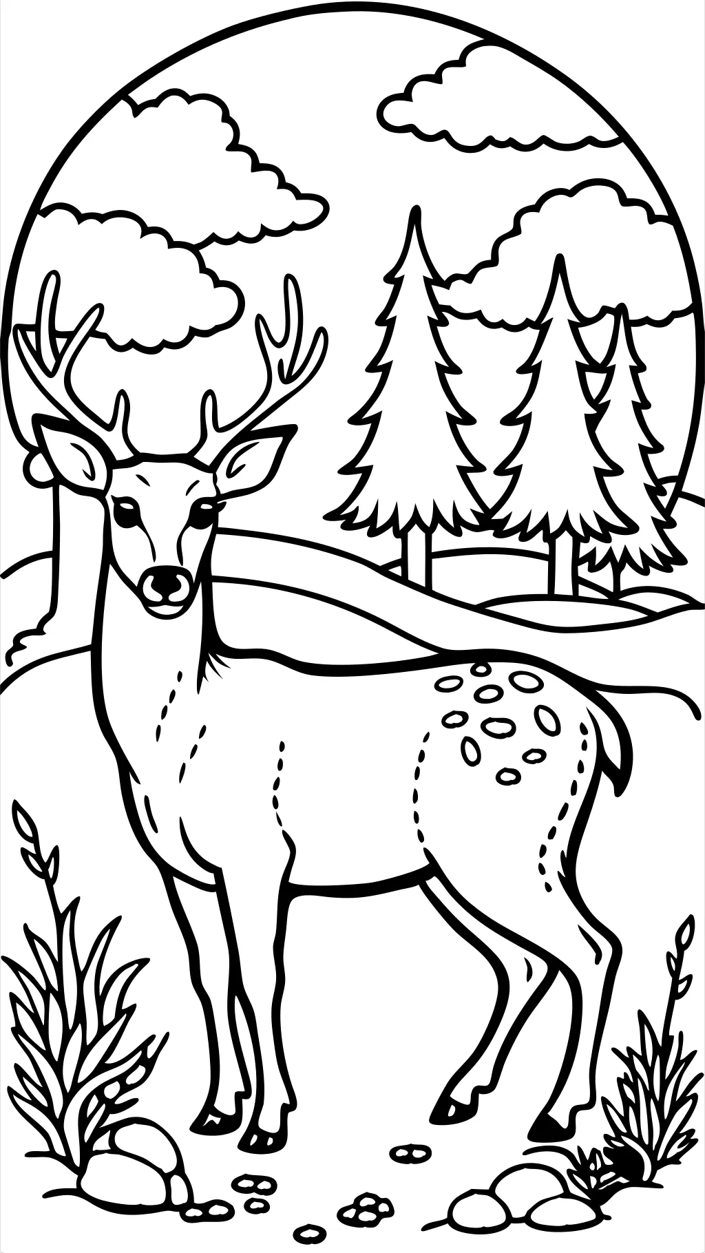 pages à colorier de cerf de la queue blanche